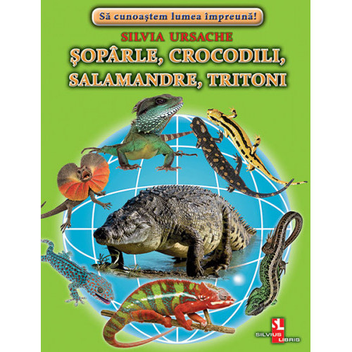 Fișe Șopârle, Crocodili