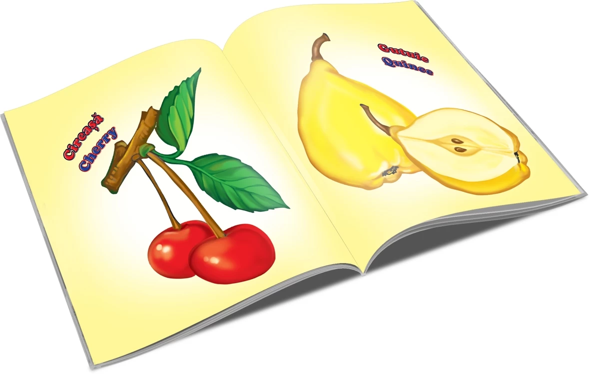 Fructe