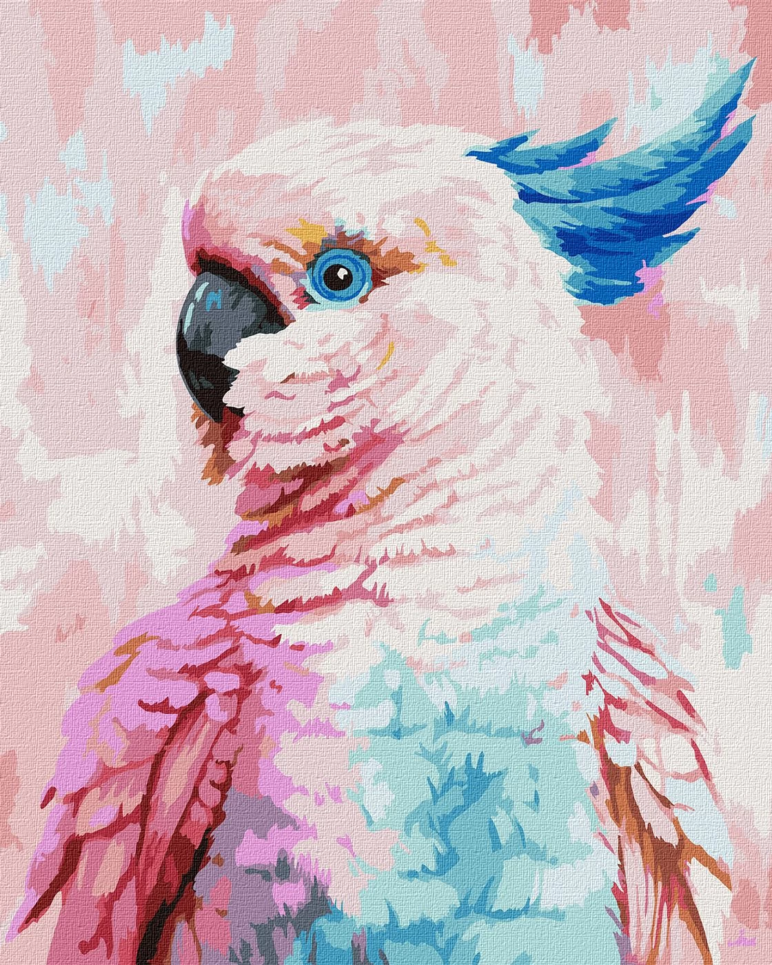 Tablouri pe numere  "Kakadu colorat" 40x50 cm KHO4398