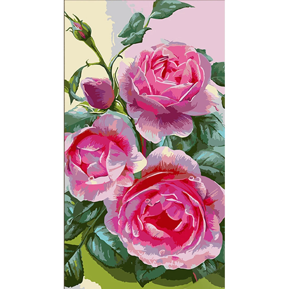 Tablou pe numere 50x25 cm "Trandafiri"