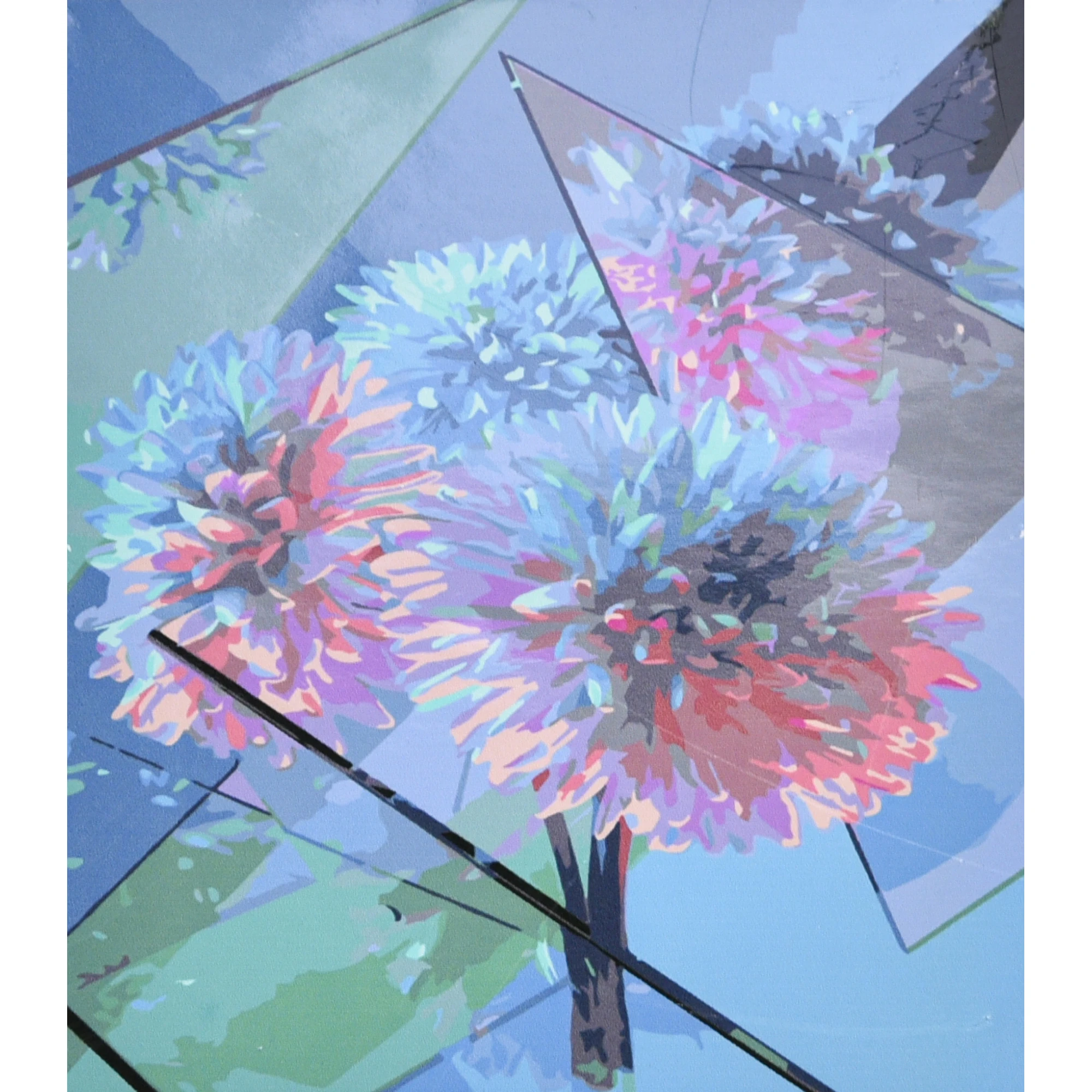 Tablou pe numere 30x40 cm "Flori in oglinzi"