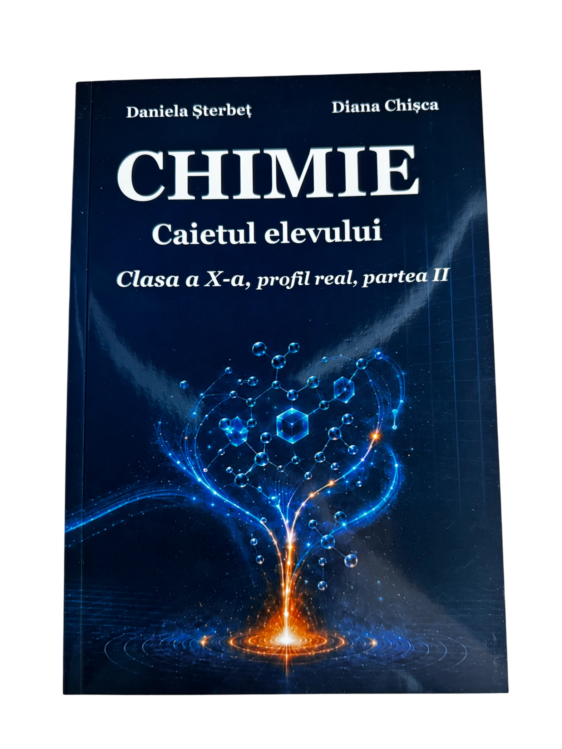 Caietul elevului la Chimie clasa X partea 2 profil real