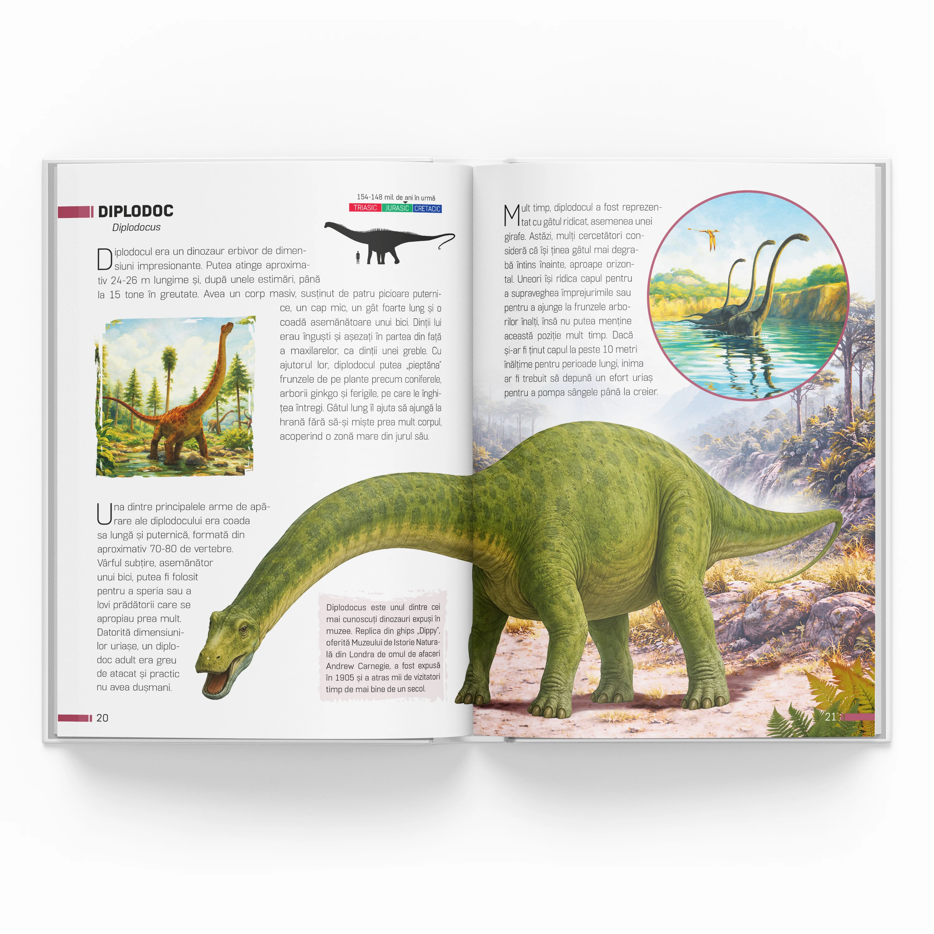 Enciclopedie. Dinozauri