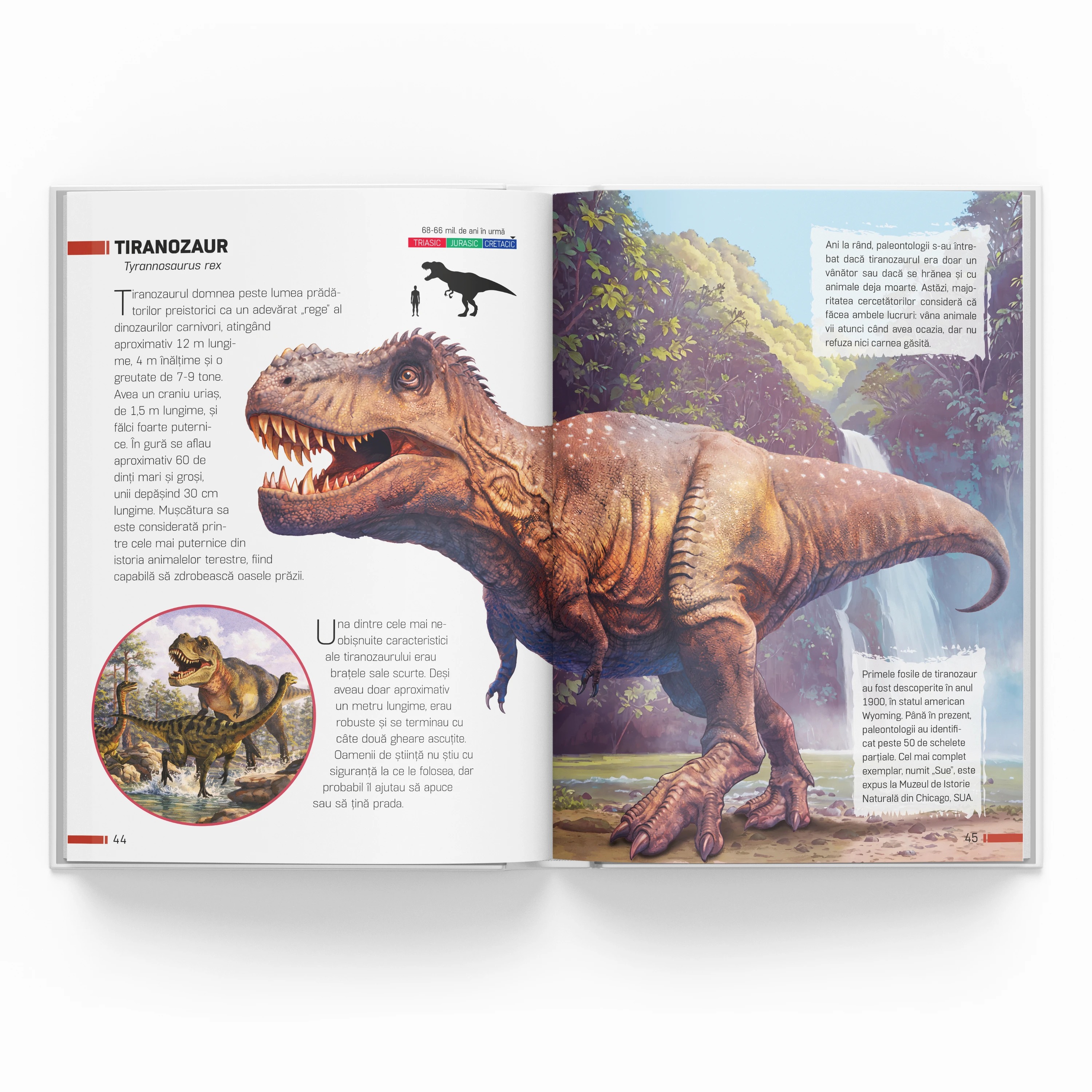 Enciclopedie. Dinozauri