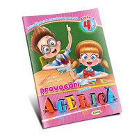 Provocări pentru Agerică cl.4
