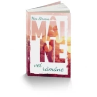 Maine vei reveni