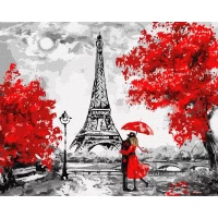 Tablou pe numere "Paris pluvios" 40x50 cm KHO4819