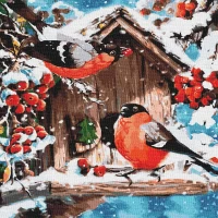 Tablou pe numere "Pasari iarna" 40x40cm KHO4041