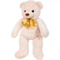 Urs Danilka
