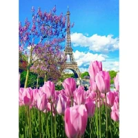 Mozaica cu Diamante 50x65 cm "Turnul Eiffel Primavara"