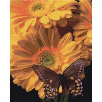 Tablou pe numere 40x50 cm "Fluture pe floarea-soarelui"