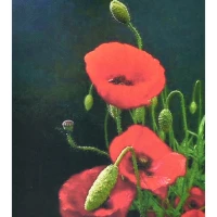 Mozaica cu Diamante 40x50 cm "Mac roșu"