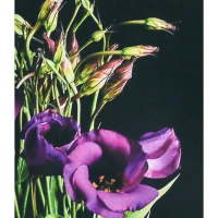 Mozaica cu Diamante 40x50 cm "Flori violete"